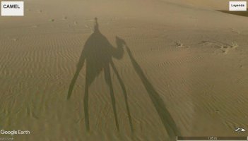 Paseo en Camello de Arabia en Street View...
