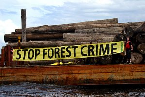 stop deforestación
