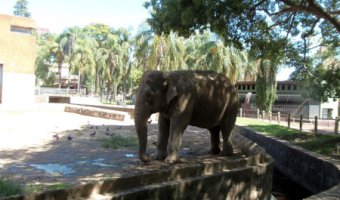 zoologico villa dolores, montevideo, uruguay