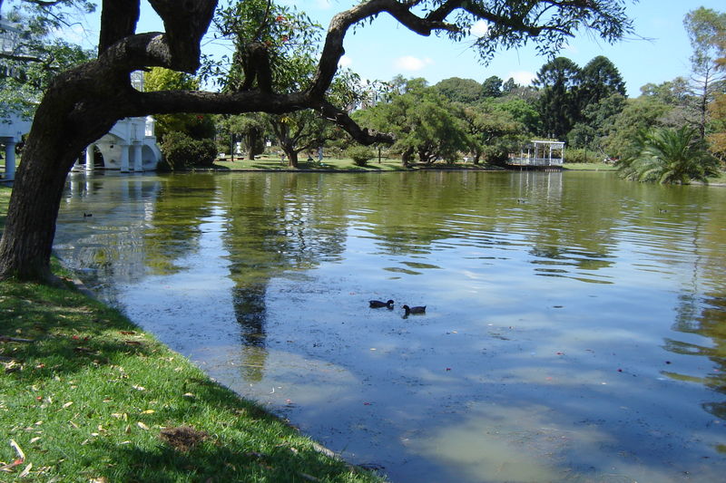 Parque 3 de Febrero -Argentina. 0