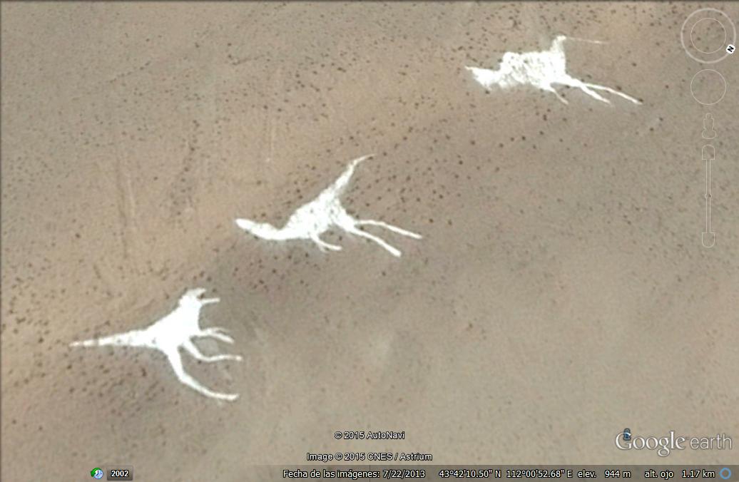 3 dinosaurios mas en el desierto del Gobi, en el lado chino 1 - Dibujos o figuras gigantes en la superficie de la Tierra