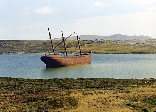 Barcos de Vela - Veleros