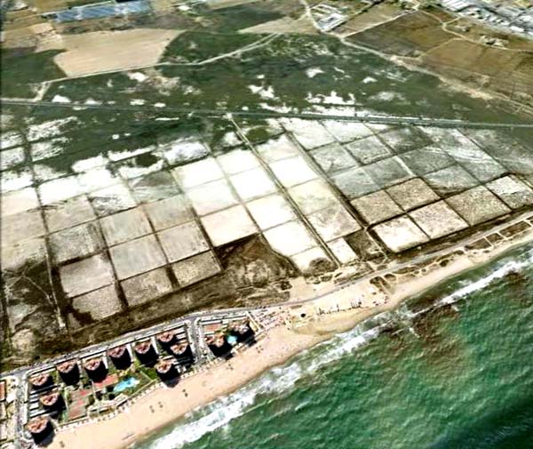 El saladar de Agua Amarga y sus enemigos. 0