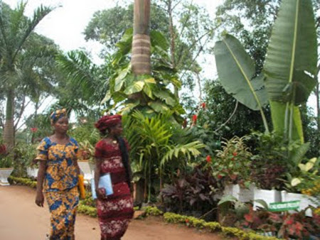 Acurenam, Centro Sur, Guinea Ecuatorial 🗺️ Foro África 0