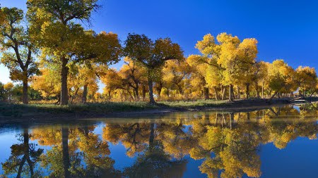 Aer shan, Nei Mongol, China 1