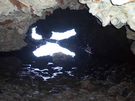 Animal Flower Cave, Saint Lucy, Barbados 1