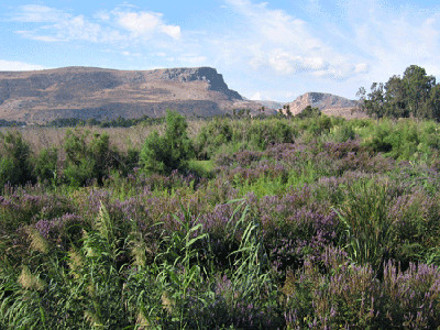 Arbel, Israel 1