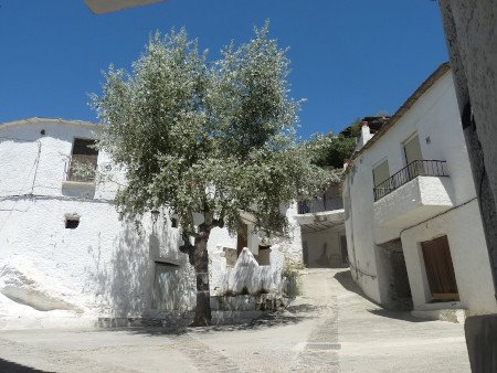 Atalbéitar, Alpujarra de Granada, Andalucía 1