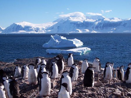 Bahía Esperanza, Antartida, Argentina 1