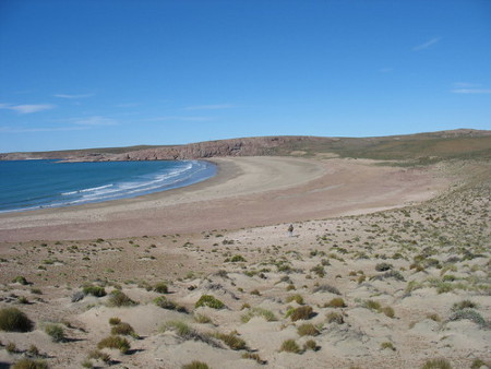 Bahia Oso Marino, Santa Cruz, Argentina 1