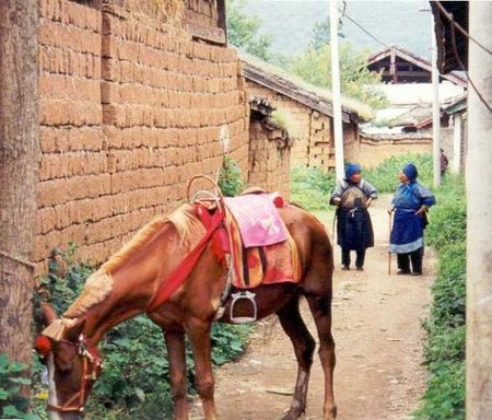 Baisha, Yunnan, China 1