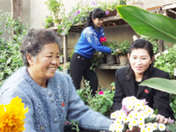 Barrio Munsin, Tongdaewon, Pionyang, Korea del Norte 0