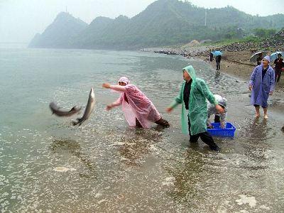 Bahia Bohai, China 0