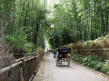 Bosque de Bambú, Houkokuji, Kamakura, Kanagawa, Japón 0