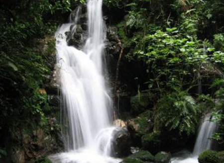 Parque Naciona Bwindi, Uganda 0