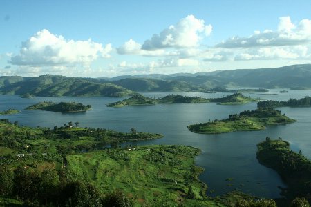 Parque Naciona Bwindi, Uganda 0