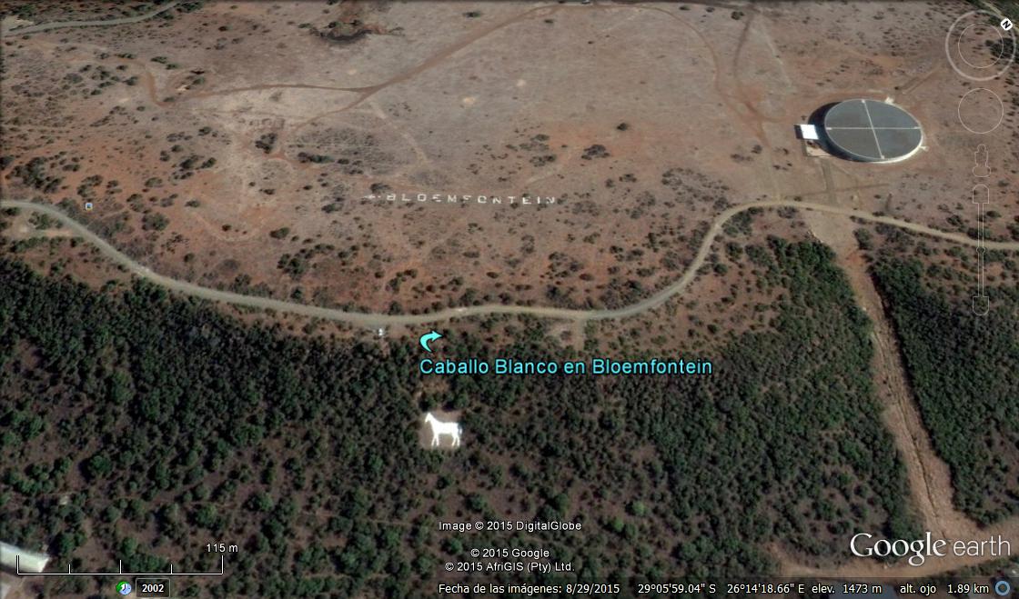 Caballo Blanco de Bloemfontein 0 - Hombre de Vitruvio en Uruguay 🗺️ Foro General de Google Earth