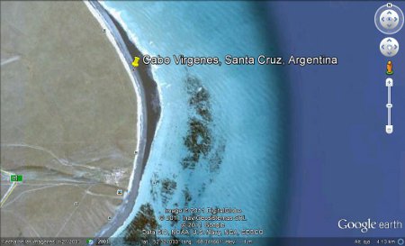 Cabo Virgenes, Santa Cruz, Argentina 2