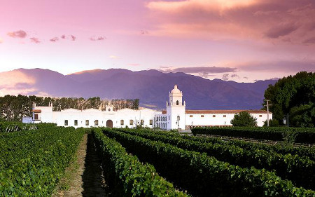 Cafayate, Salta, Argentina 1