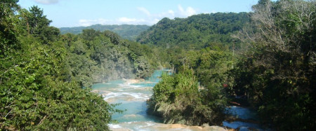 Cascada de Misol-Ha, Chiapas, México 🗺️ Foro América del Sur y Centroamérica 0