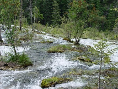 Cataratas Zhenzhu Tan, Jiuzhaigou, Sichuan, China 🗺️ Foro China, el Tíbet y Taiwán 1