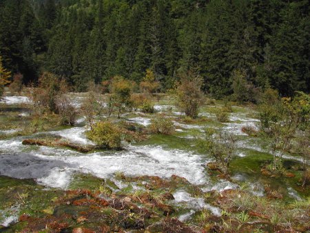 Cataratas Zhenzhu Tan, Jiuzhaigou, Sichuan, China 🗺️ Foro China, el Tíbet y Taiwán 0