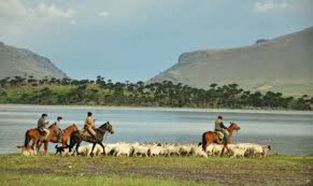 Caviahue, Neuquén, Argentina 0