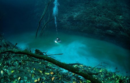 Cenote Angelita, Quintana Roo, México 1