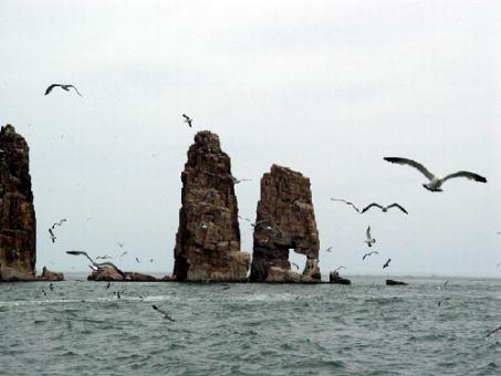 La isla del tesoro; Chang dao, Shandong, China 1