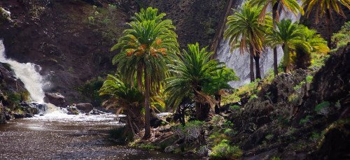 Chejelipes, La Gomera, Canarias 1