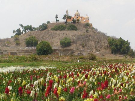 Cholula, Puebla, México 0