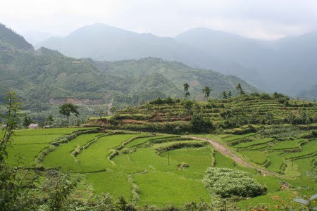 Chuandiding shan, Guangdong, China 1