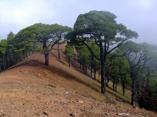 Archivo del Concurso de Geolocalizacion 0