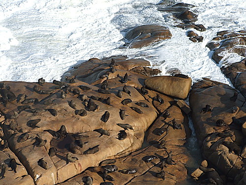 CABO POLONIO- Naturaleza, paz y armonía. 1