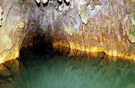 Cuevas de Waitomo, Waikato, Nueva Zelanda 1