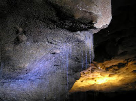 Cuevas de Waitomo, Waikato, Nueva Zelanda 0