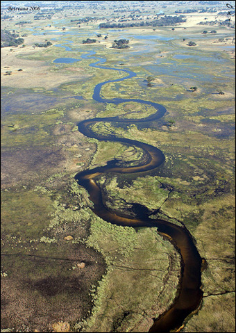 DELTA DEL OKAVANGO-¡Insólito! 0