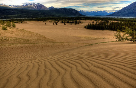 Desierto de Carcross, Yucón, Canadá 1