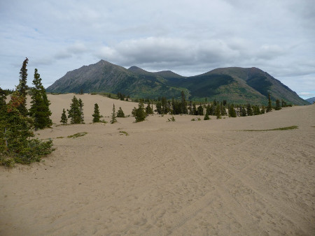 Desierto de Carcross, Yucón, Canadá 🗺️ Foro América del Norte 1