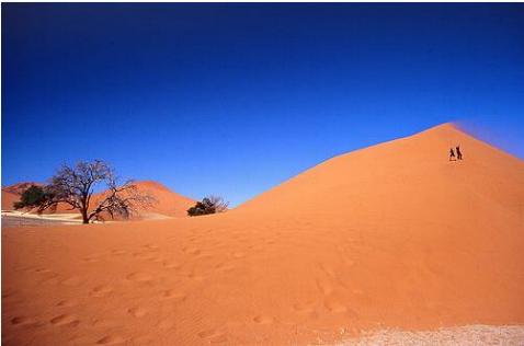 Desierto de Namib, Namibia 1