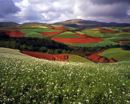 La tierra roja de Dongchuan, Yunnan, China 0