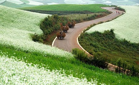 La tierra roja de Dongchuan, Yunnan, China 2