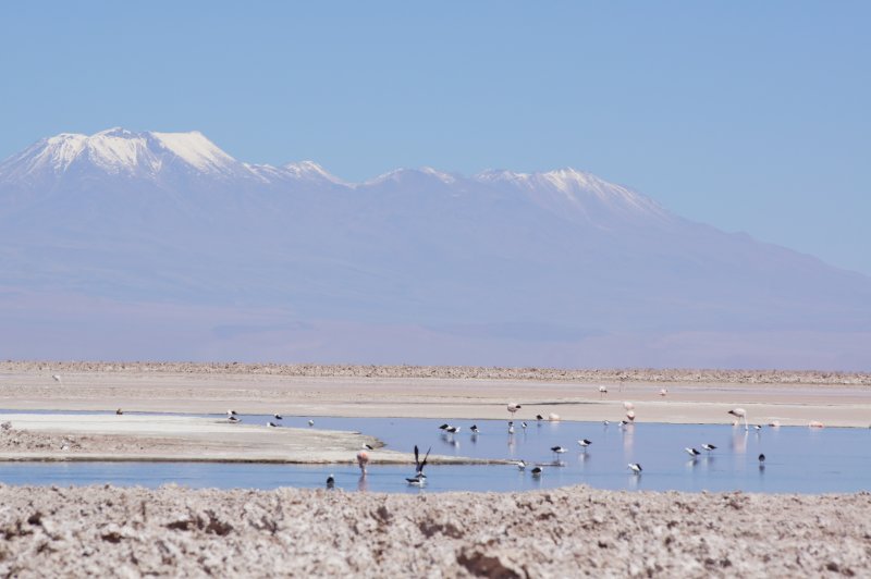 Salar de Atacama