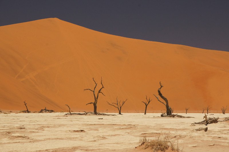 Deadvlei y la duna Big Daddy - Desierto del Namib - Localización de Atracciones Turísticas de Namibia