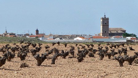 El Toboso, Toledo, Castilla La Mancha 0