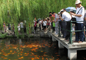 Estanque de las Carpas Rojas, Hangzhou. Zhejiang,  China 1