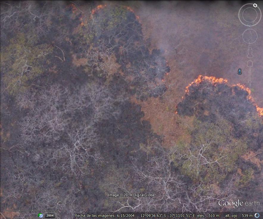 Fuego en Mozambique en alta resolución 1 - Corral en Tanzania y el avion de Google Earth 🗺️ Foro África