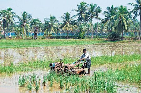 Godavari Orientali, Andhra Pradesh, India 0