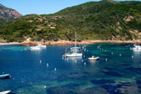 Golfo de Girolata, Córcega, Francia 0