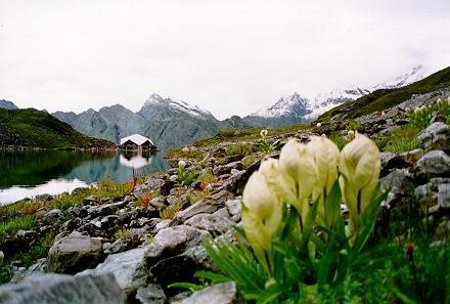 Hemkund Saheb, Uttarakhand, India 🗺️ Foro Asia 2